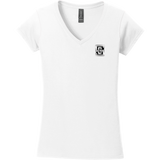 Gregory Schaefer Softstyle Ladies Fit V-Neck T-Shirt